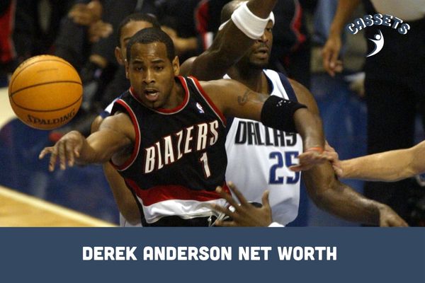 Derek Anderson Net Worth